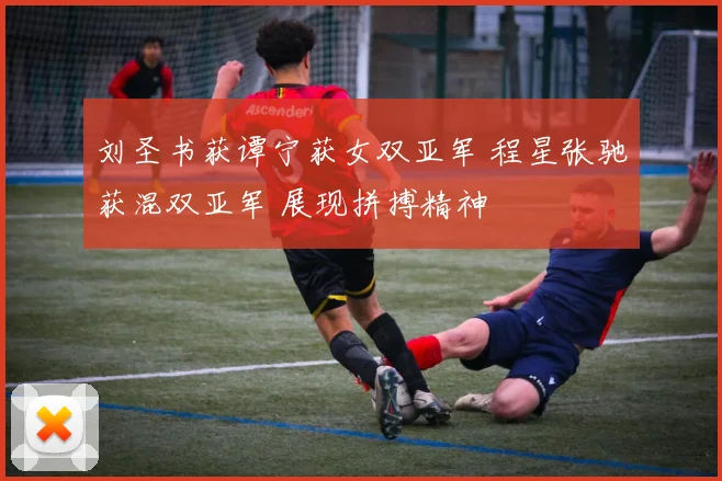 刘圣书获谭宁获女双亚军 程星张驰获混双亚军 展现拼搏精神